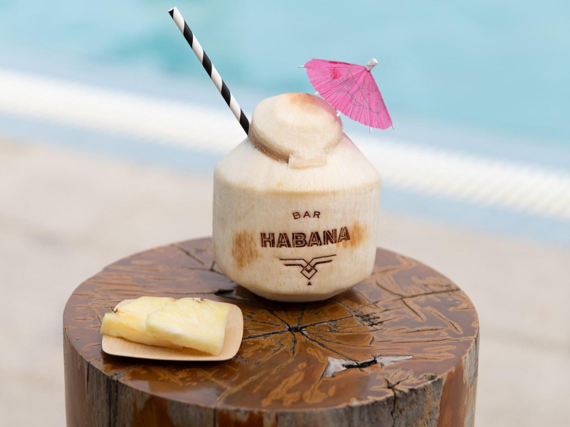 Kimpton Angler'S Hotel South Beach By Ihg Μαϊάμι Μπιτς Εξωτερικό φωτογραφία A coconut drink