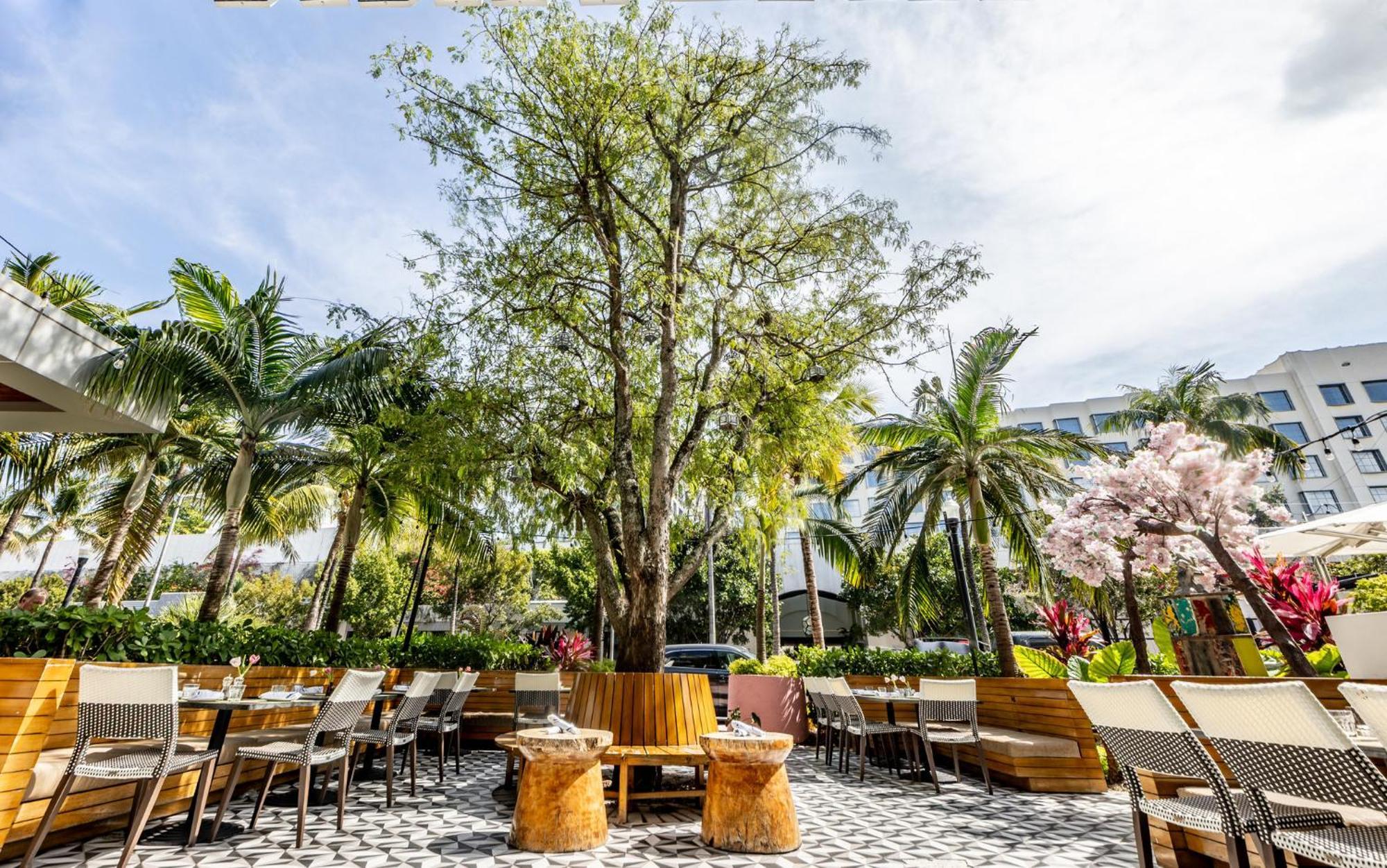 Kimpton Angler'S Hotel South Beach By Ihg Μαϊάμι Μπιτς Εξωτερικό φωτογραφία